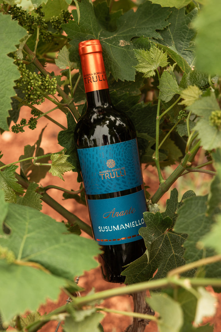 ANANTE - Susumaniello IGP Puglia